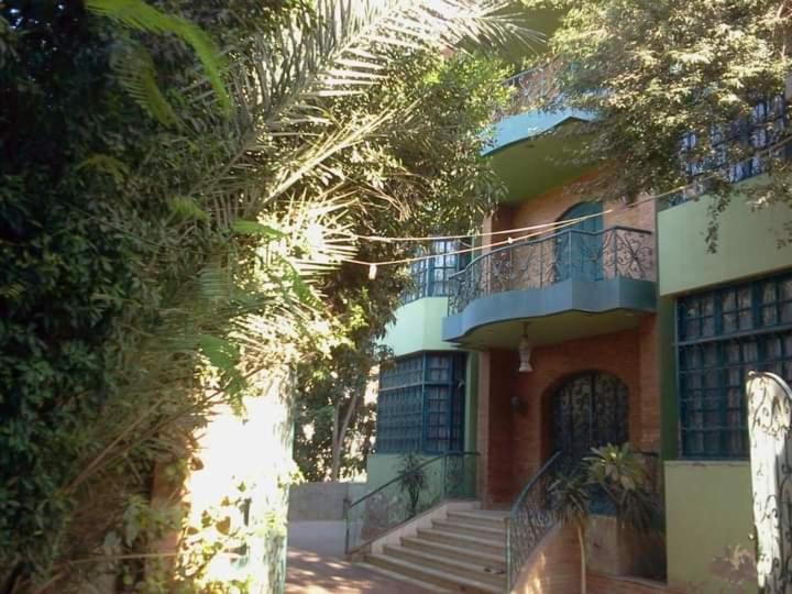 Richard Pyramids Inn Hotel Kafret el-Gabal Εξωτερικό φωτογραφία